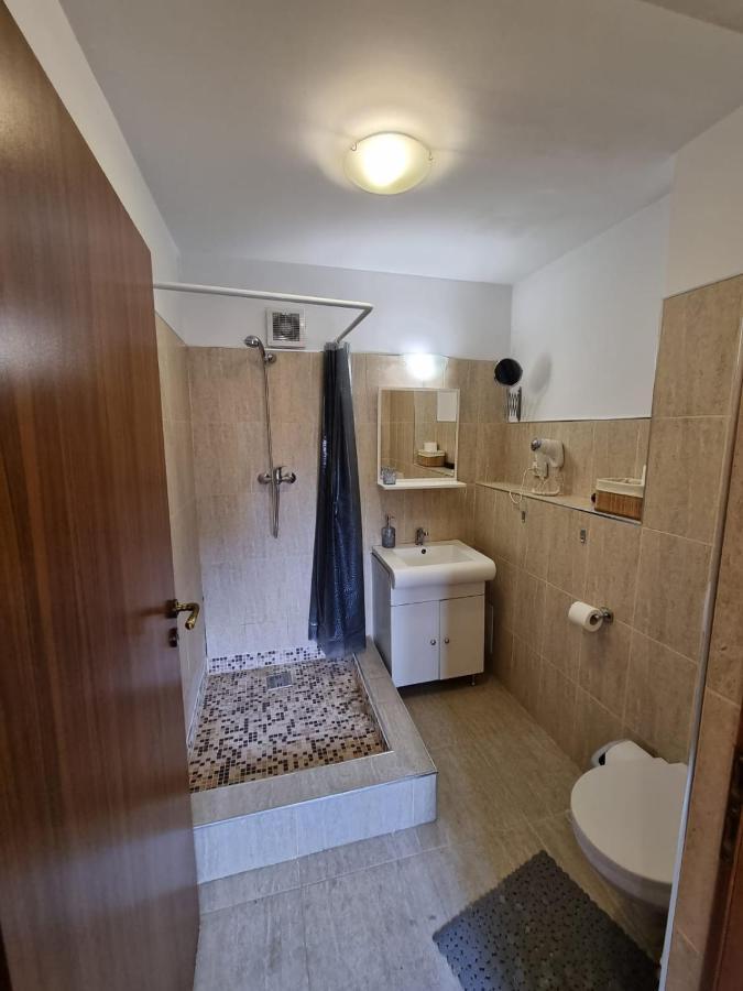 プロイェシュティCasa Romanaアパートメント エクステリア 写真